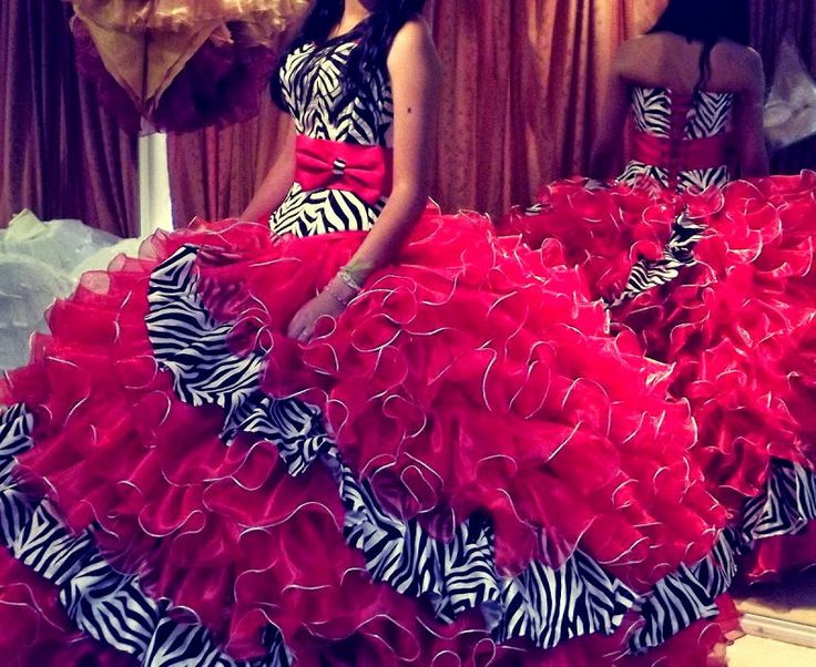 Pink zebra wedding dress Zebra Prom Dress, Teal Quinceanera Dresses, Zebra Wedding, Red Quinceanera Dresses, Kohls Dresses, Quince Dress, Zebra Print Dress, Zebra Dress, Quince Dresses