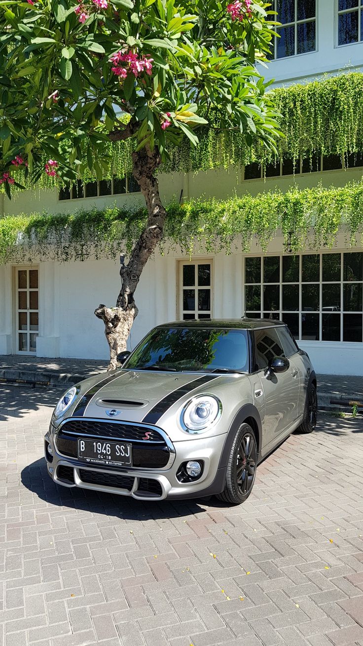 a grey mini cooper parked in front of a building with pink flowers on the tree