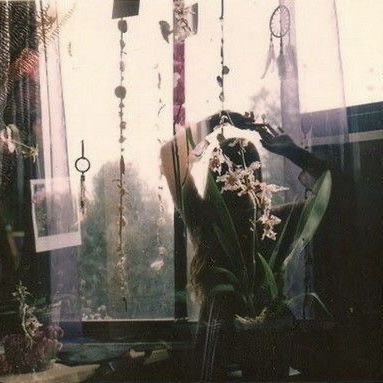 a chair sitting in front of a window filled with flowers