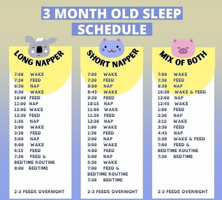 the three month old sleep schedule for babies and toddlers is shown in this graphic