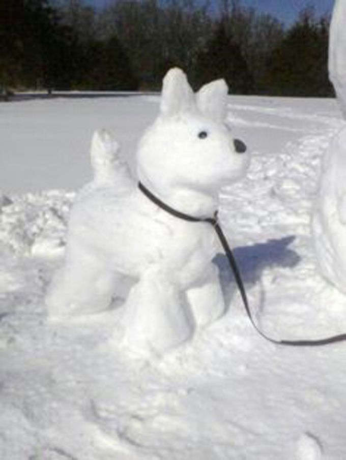 a white dog that is in the snow with a leash attached to it's neck