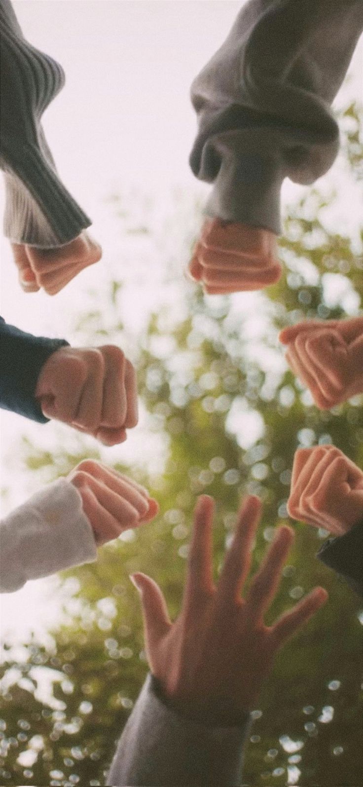 several hands reaching out towards each other with trees in the background