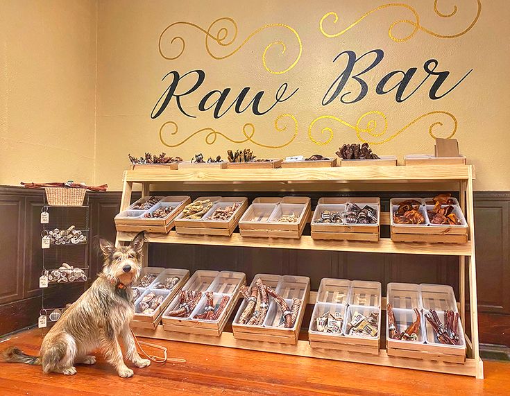 a dog sitting on the floor in front of a rack with various items for sale