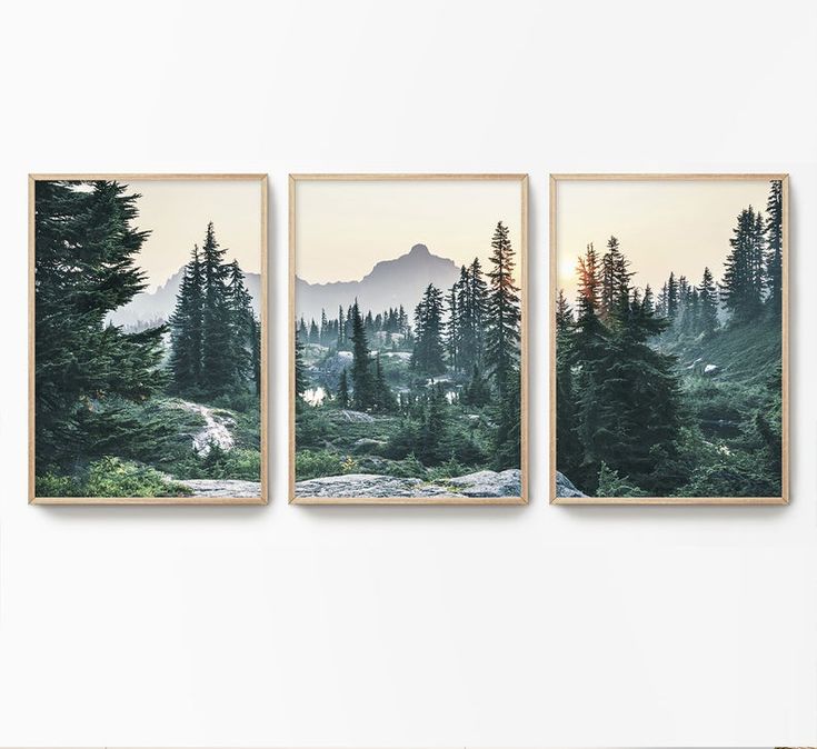 three framed pictures with trees and mountains in the background