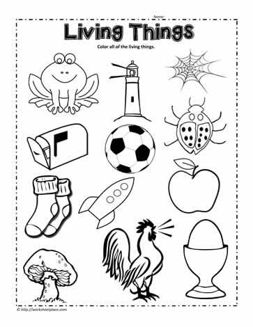 the living things worksheet is shown in black and white, with an image of various