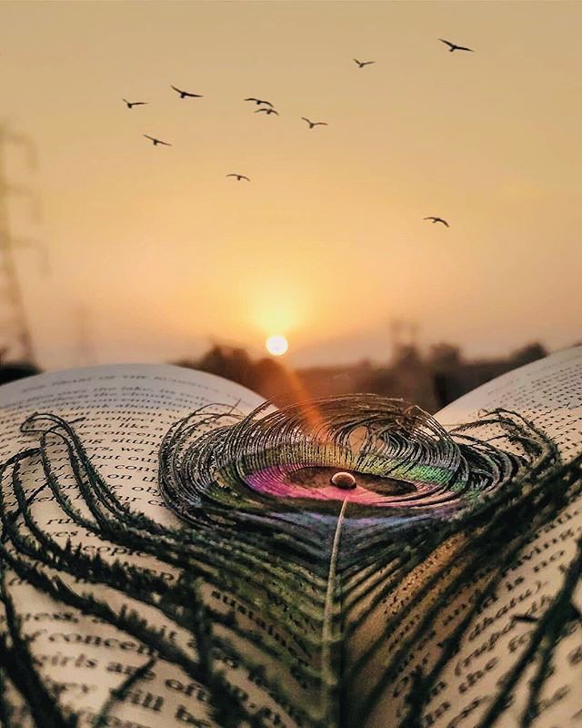 an open book with the sun setting in the background and birds flying over it,