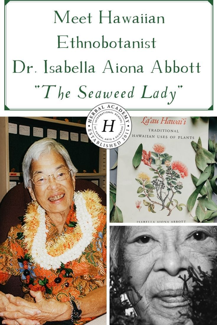 the cover of meet hawaiian ethnobtanist dr jabela alona abbottt's the seaweed lady