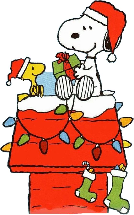 a charlie brown christmas card with snoop and his dog on top of the box,