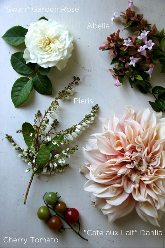 four different types of flowers are arranged on a white surface with green leaves and berries