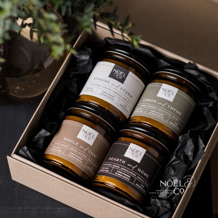 four jars of honey in a box on a table next to a potted plant