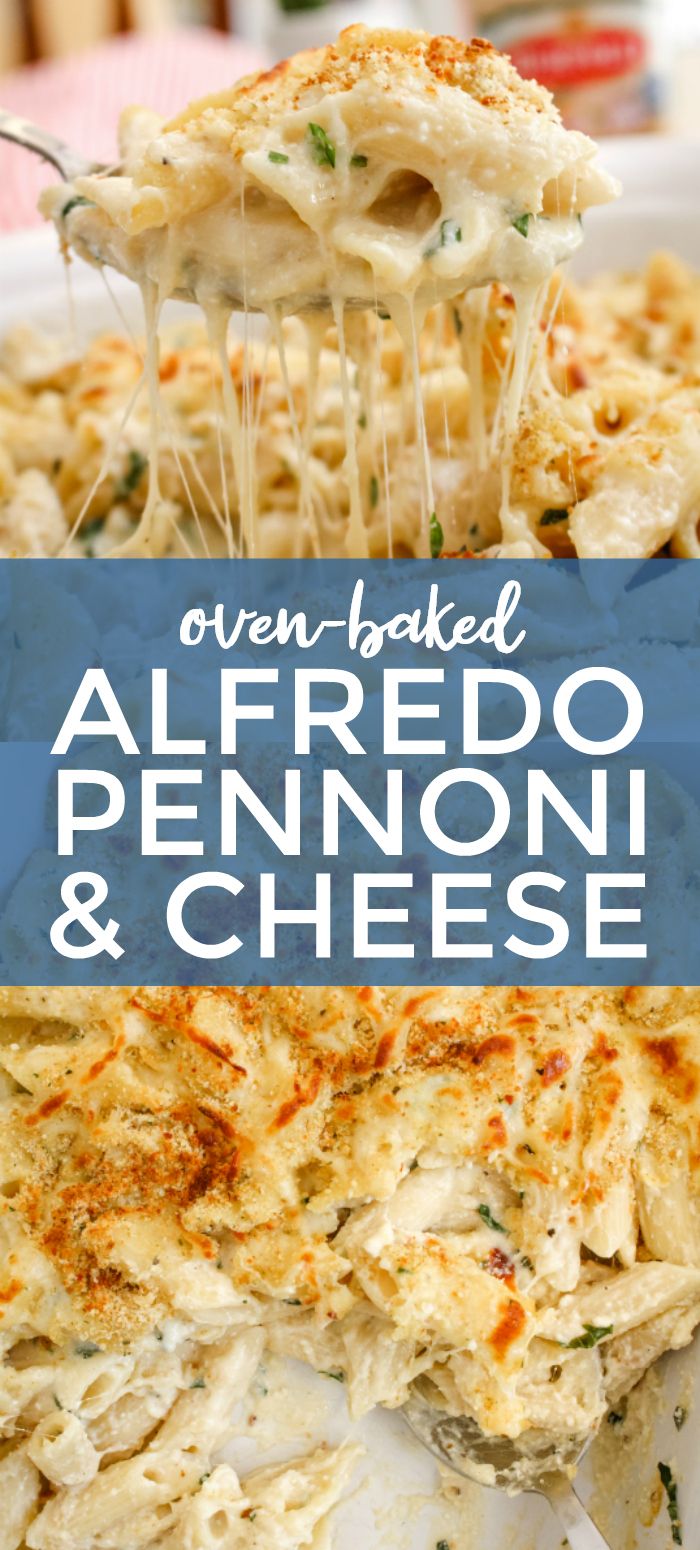 an open baked alfredo chicken and cheese casserole on a white plate with the title overlay