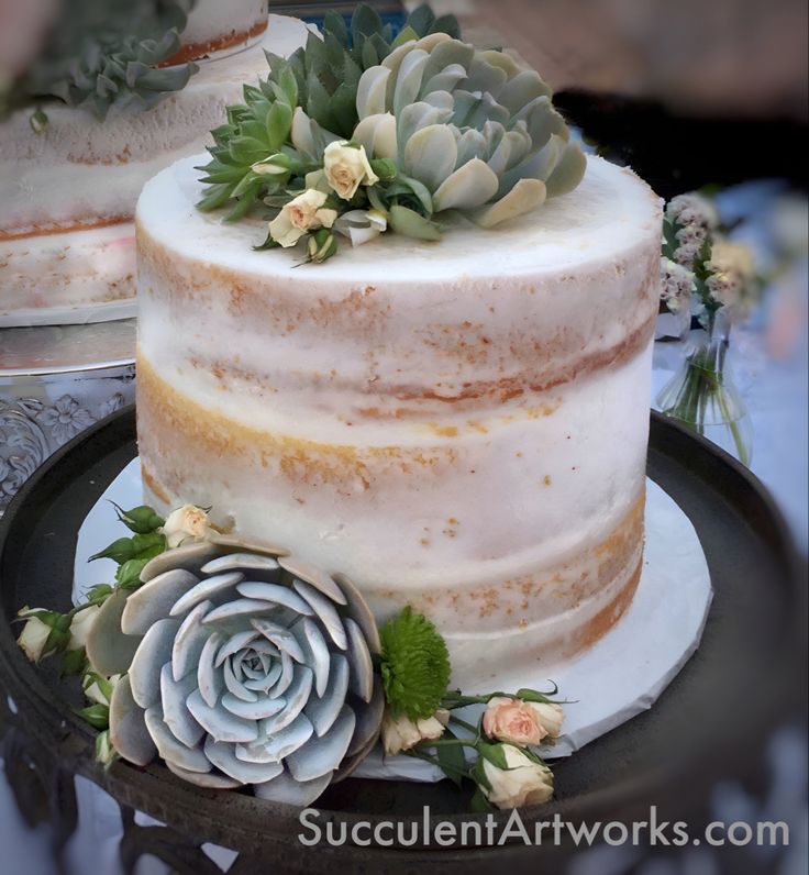 Wedding cake topper with Succulents in shades of green and blue. Customize your succulents to match your wedding colors. Free shipping to your door. Succulent Wedding Cake, Succulent Wedding Cakes, Succulent Cake, Cactus Cake, Buckwheat Cake, Floral Wedding Cake, Cake Decorating Kits, Cake Trends