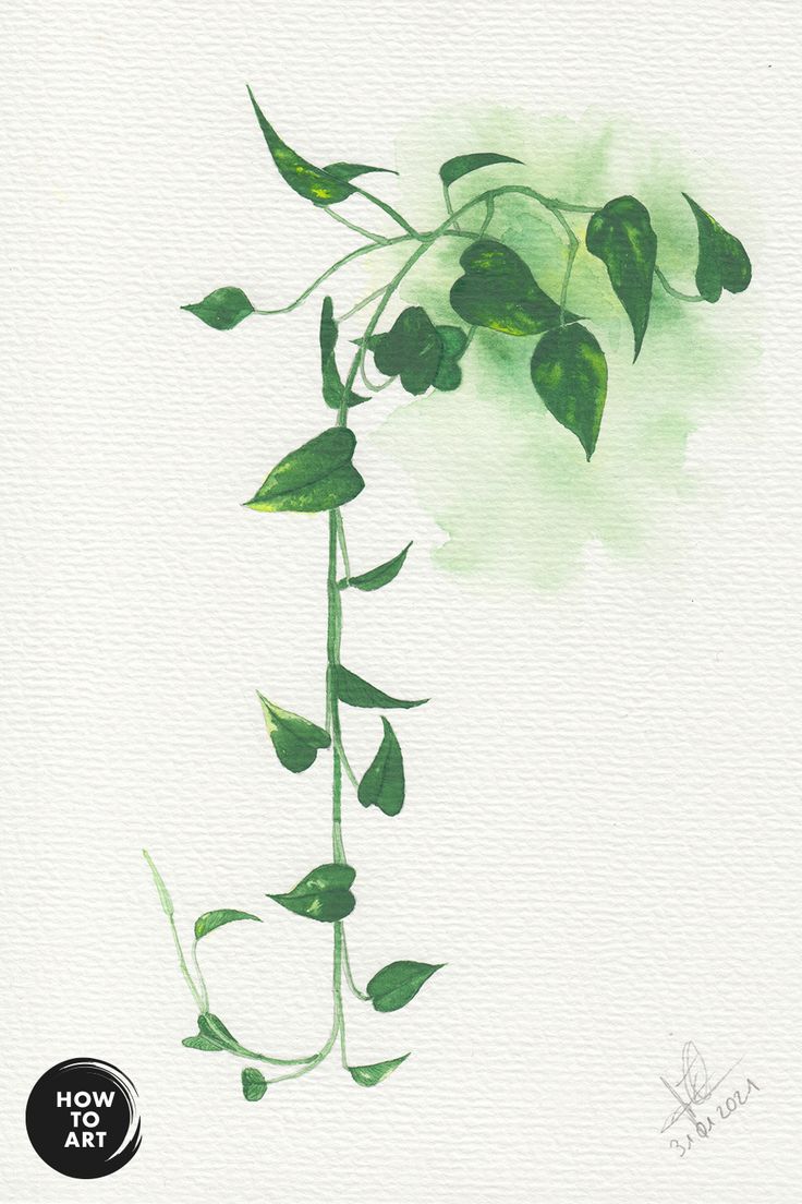 a watercolor painting of a plant with green leaves