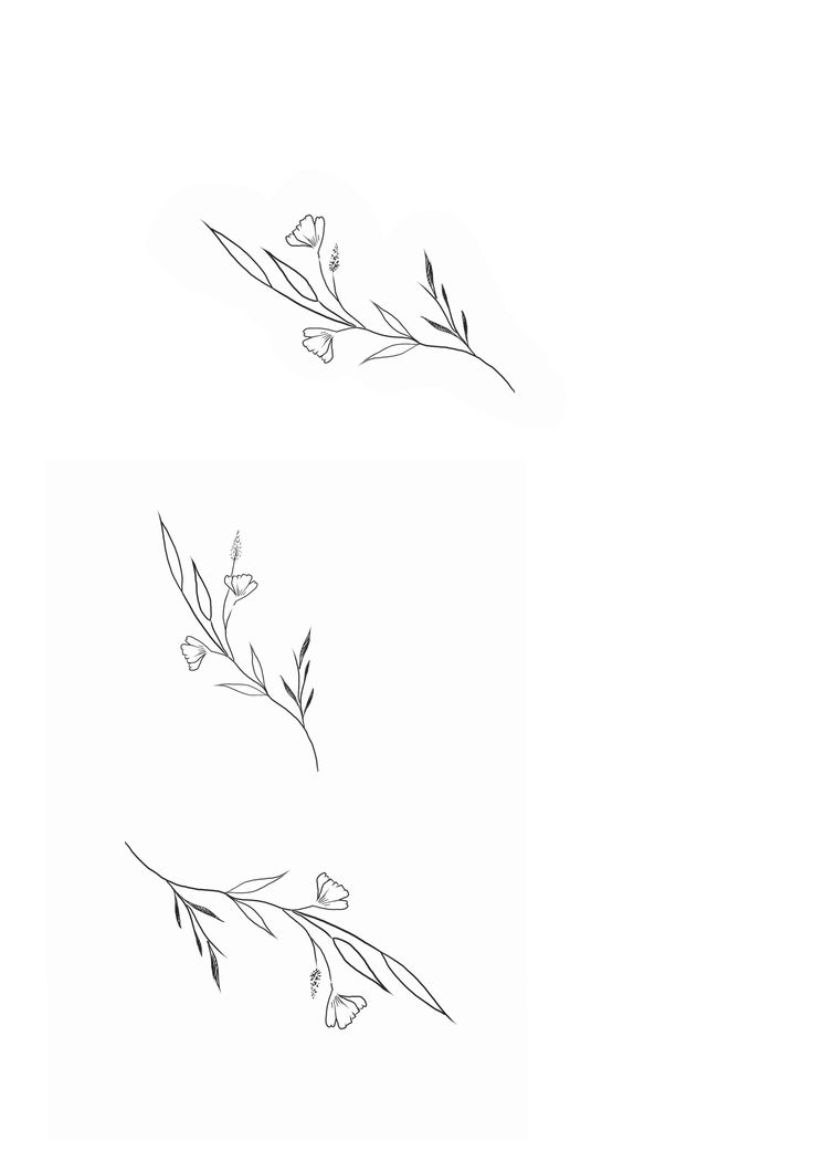 two drawings of flowers on a white background