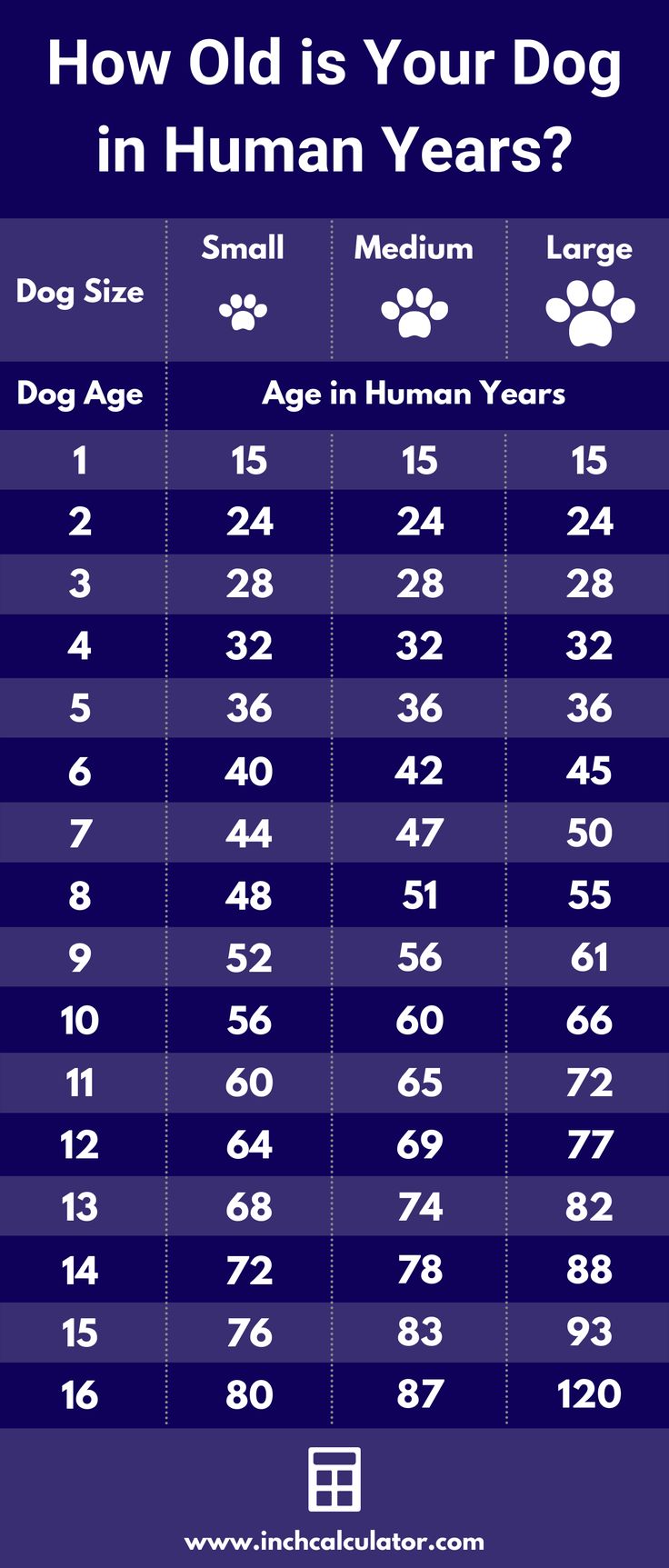 dog age chart showing the age of a dog in human years Dog Years To Human Years, Dog Age In Human Years, Dog Age Chart, Age Calculator, Animal Pins, Dog Ages, Intresting Facts, Street Dogs, Dog Years