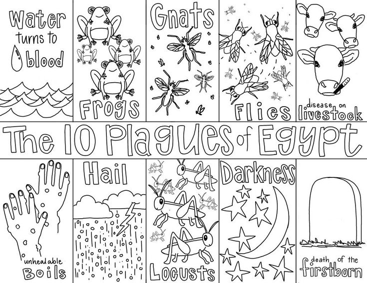 the ten plagues of egypt coloring page for kids with pictures and words on it