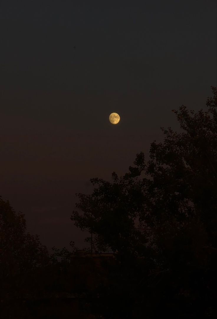 the moon is shining brightly in the night sky