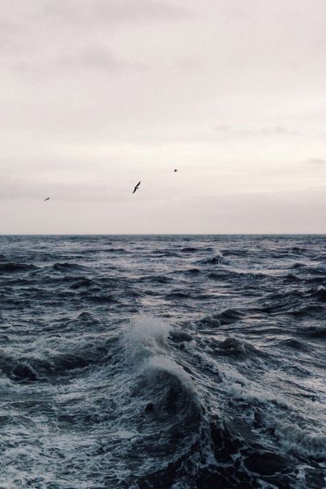 two birds flying over the ocean waves on a cloudy day with seagulls in the distance