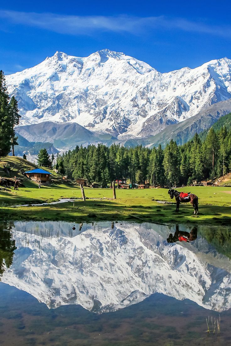 a horse is standing in front of a mountain lake with snow on the mountains behind it