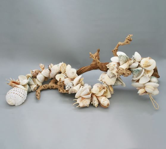 an arrangement of seashells and branches on a gray background