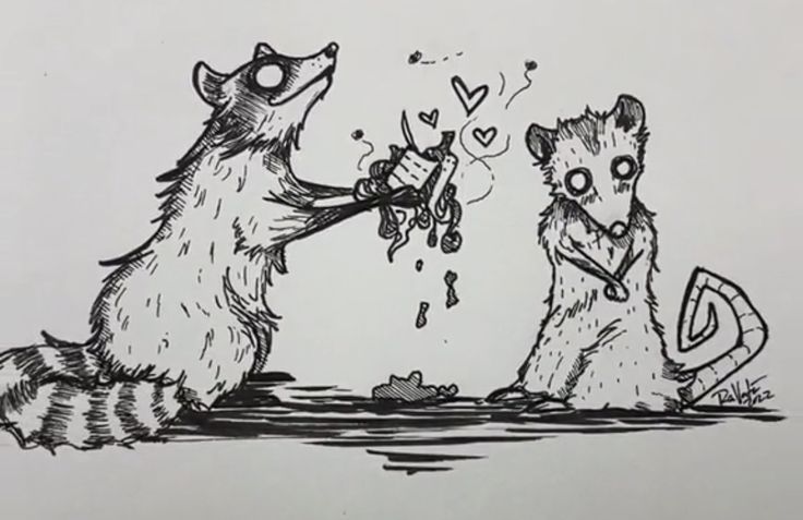 two raccoons are playing with each other