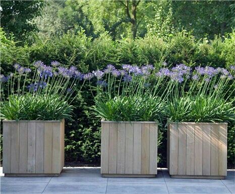 three wooden planters with purple flowers in them