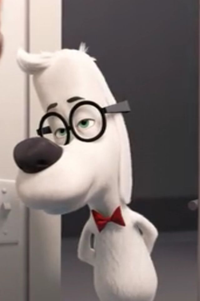 a white dog with glasses and a red bow tie standing in front of a door