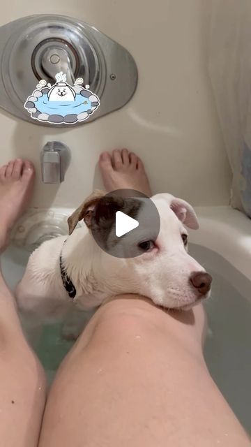 a dog is sitting in the bathtub with his owner