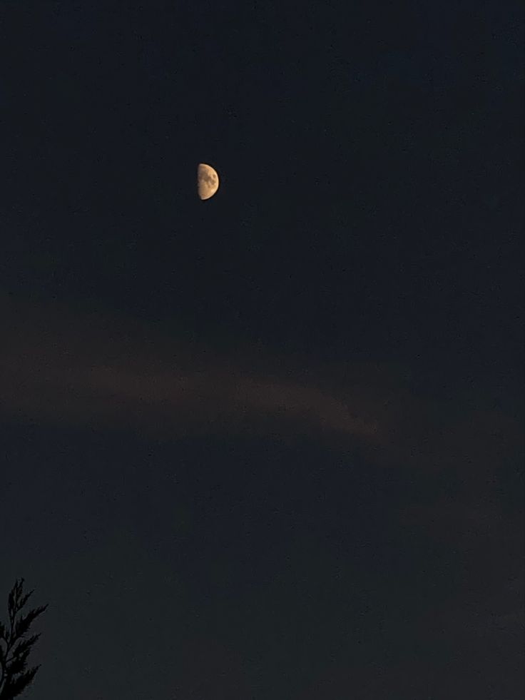 the moon is shining in the dark sky above some tree branches at night with no clouds