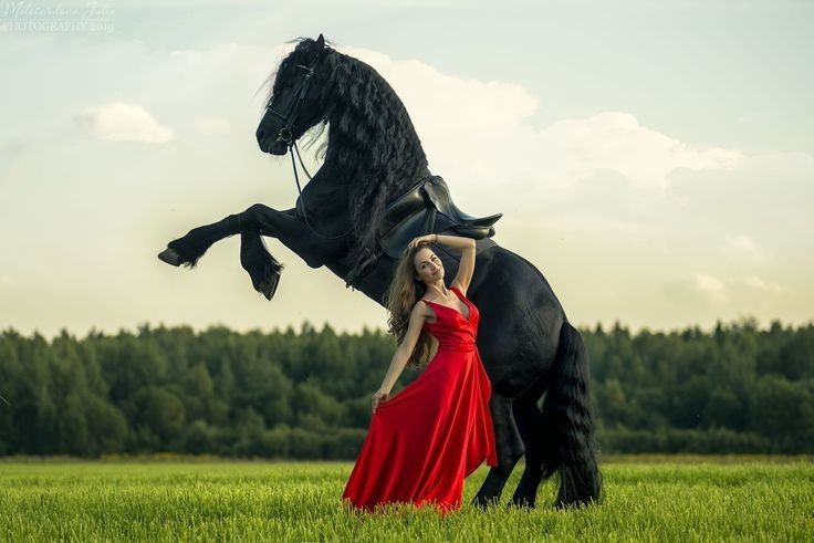 a woman in a red dress standing next to a black horse on its hind legs