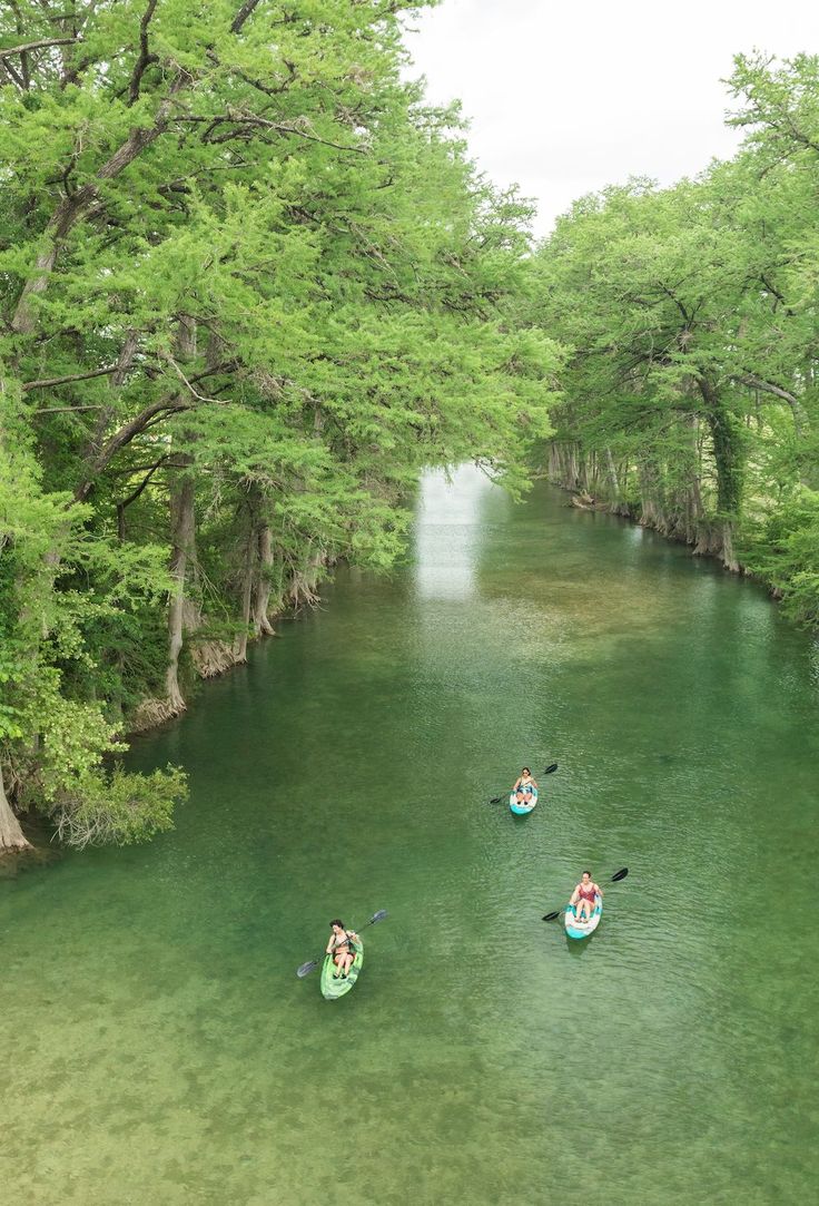 three people in kayaks paddling down a river surrounded by green trees and grass