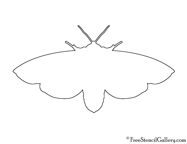 a drawing of a butterfly with two antennaes on it's wings and one wing extended