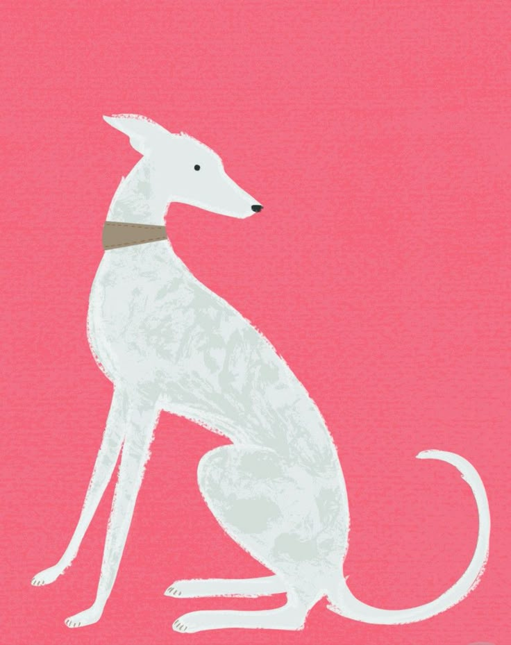 a white dog sitting on top of a pink background