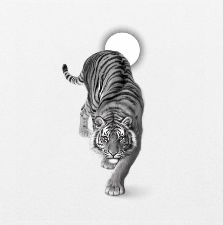 a black and white photo of a tiger running in the air with its head turned to the right