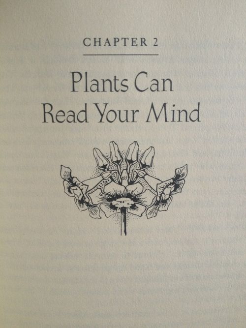 a book with the title, plants can read your mind