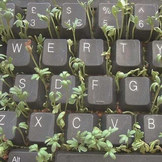 a keyboard with plants growing out of it's keys and letters on the keys