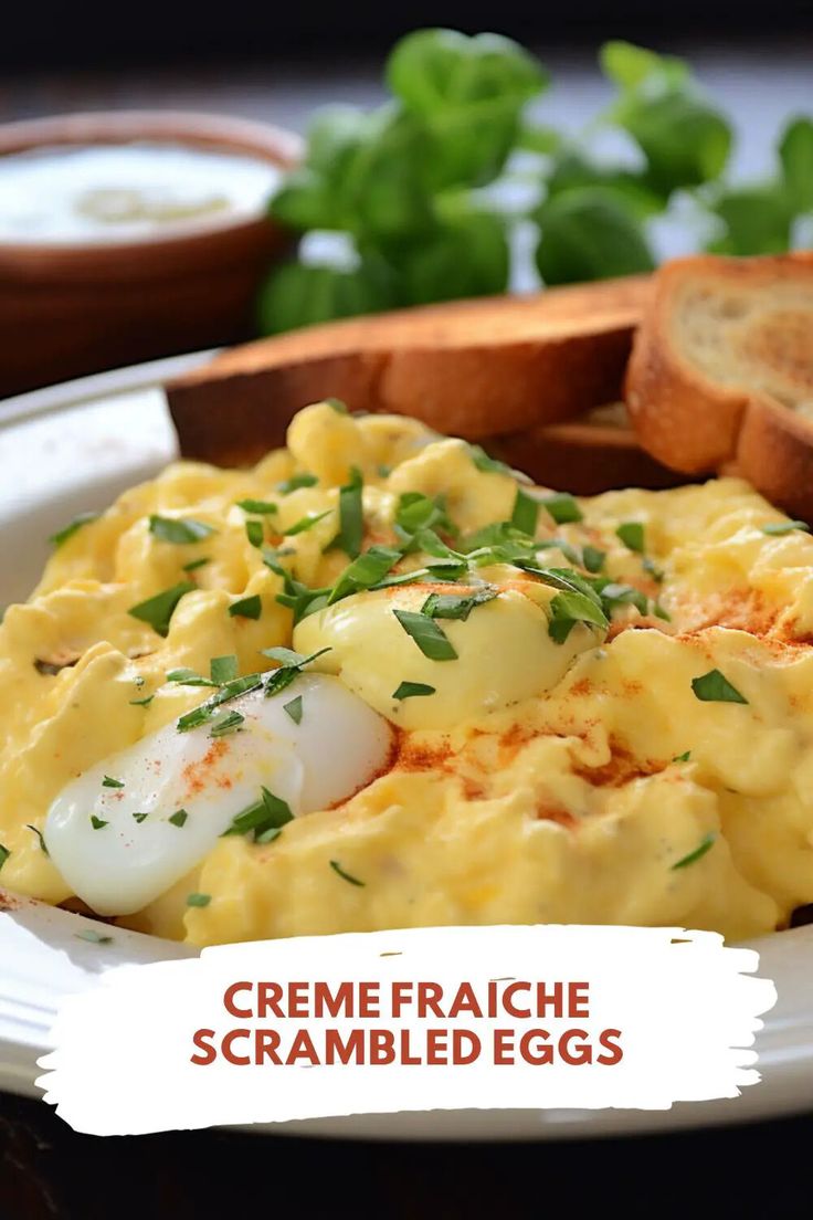 scrambled eggs on a plate with bread and parsley sprinkled around the edges