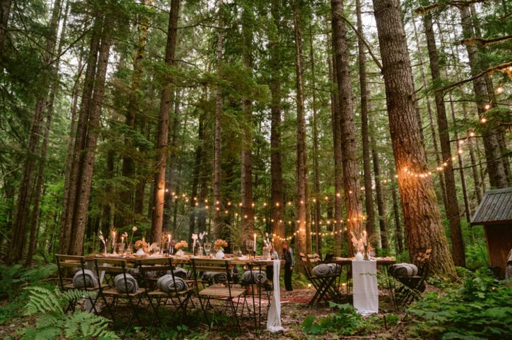 an outdoor dinner table in the middle of a forest with string lights strung from the trees