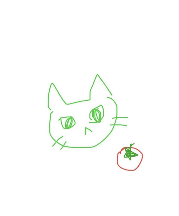 a drawing of a cat with a tomato on it's nose and an apple in the background