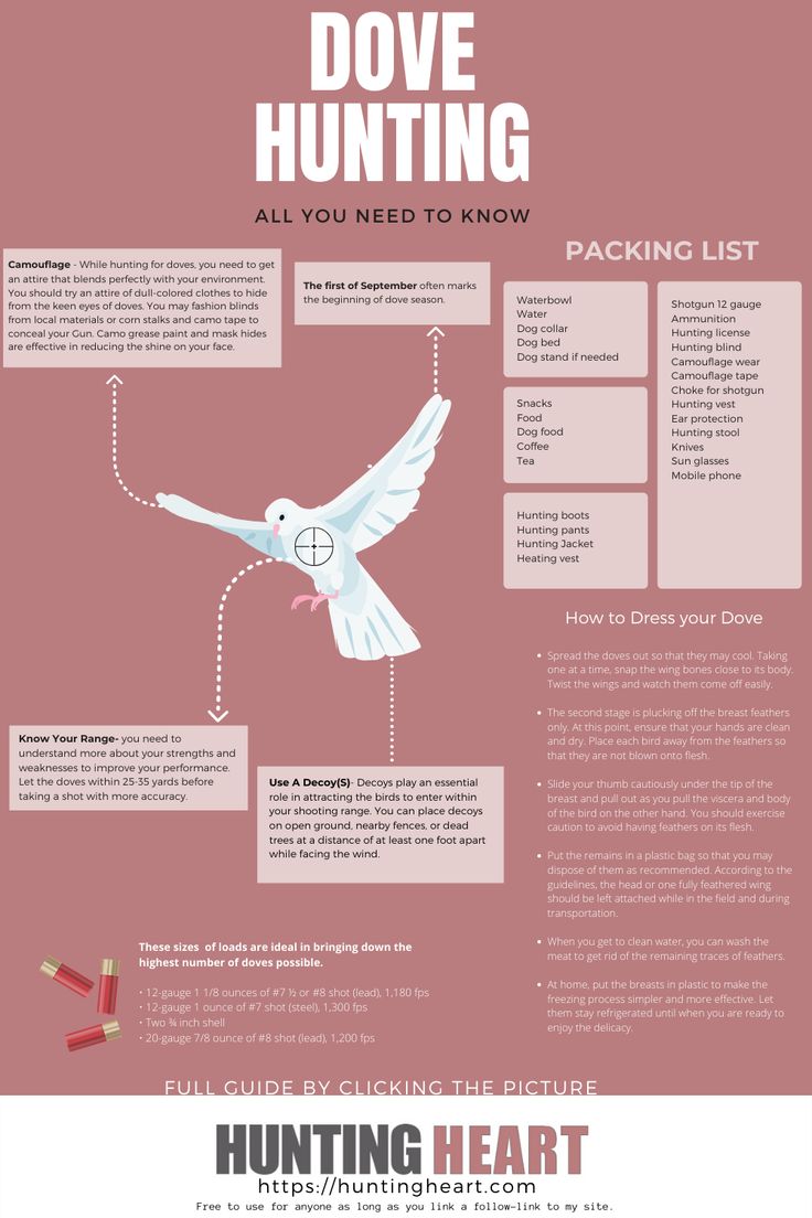 a poster with instructions on how to use dove hunting