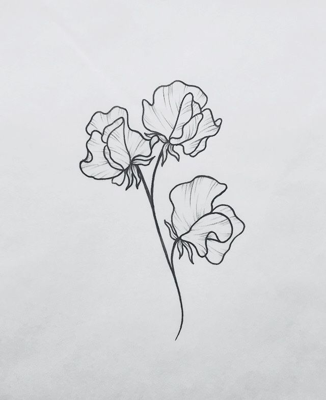 a drawing of three flowers on a white paper with one single flower in the middle