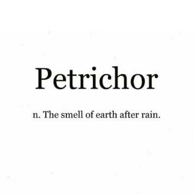 the words petrichor written in black and white on a white background with an image of