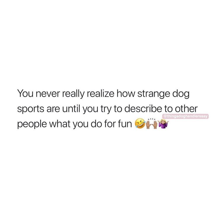 the text on this photo says, you never really relize how strange dog sports are until you try to describe to other people what you do for fun