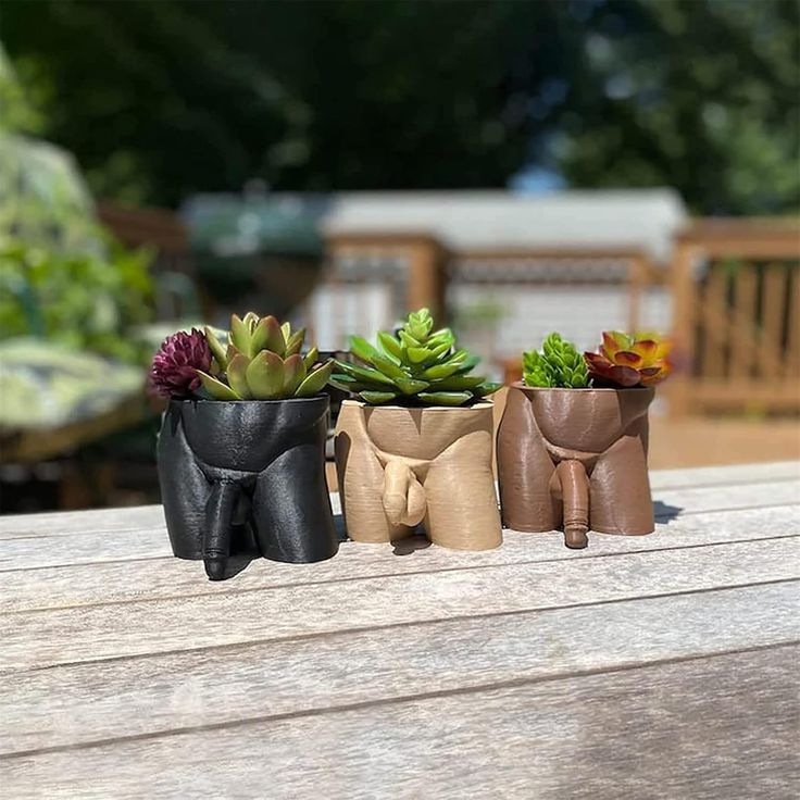 three small pots with succulents in them sitting on a wooden table outside