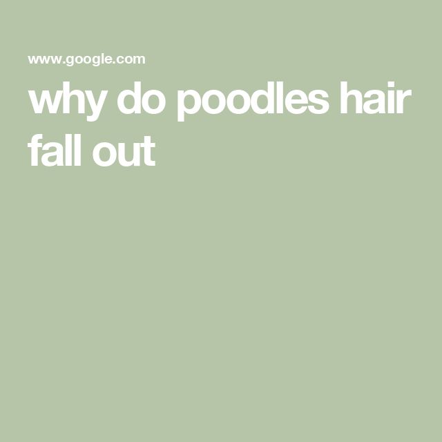 the words why do poodles hair fall out? are in white letters on a green background