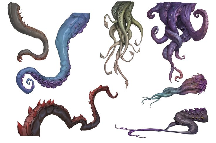 four different types of octopus tentacles