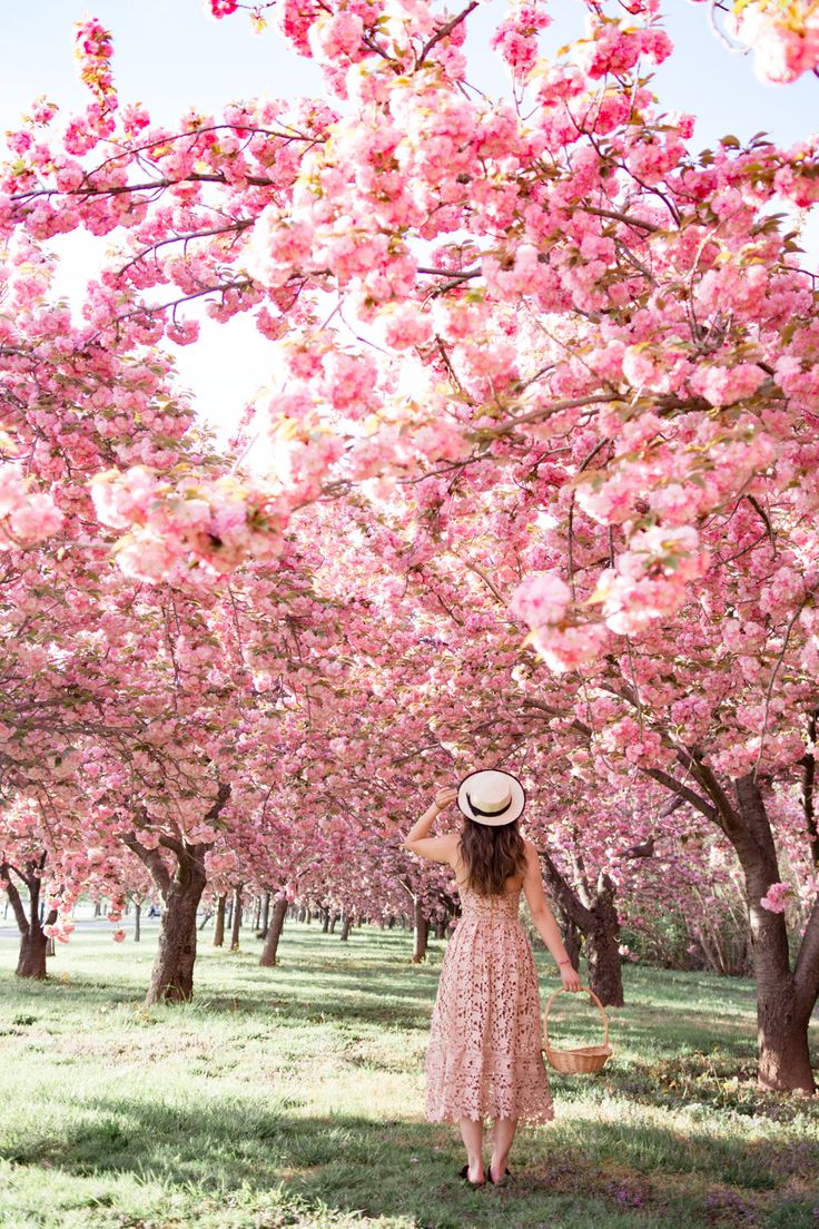 a woman in a dress and hat standing under pink blossom trees