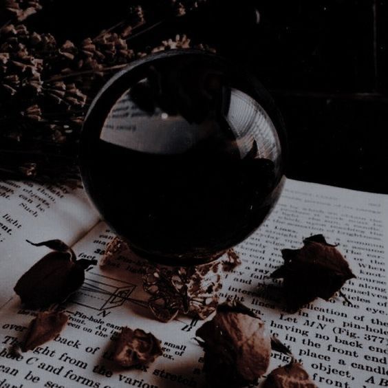 a dark purple seeing ball is sat on a gold holder on top of a book with dead leaves surrounding it, the image is dim and has a dark academia vibe Gabriel Nox Aesthetic, Black Obsidian Aesthetic, Bookish Images, Obsidian Aesthetic, Witch Beginner, Dark Witch Aesthetic, Tvdu Aesthetic, Hades Aesthetic, Pick An Outfit