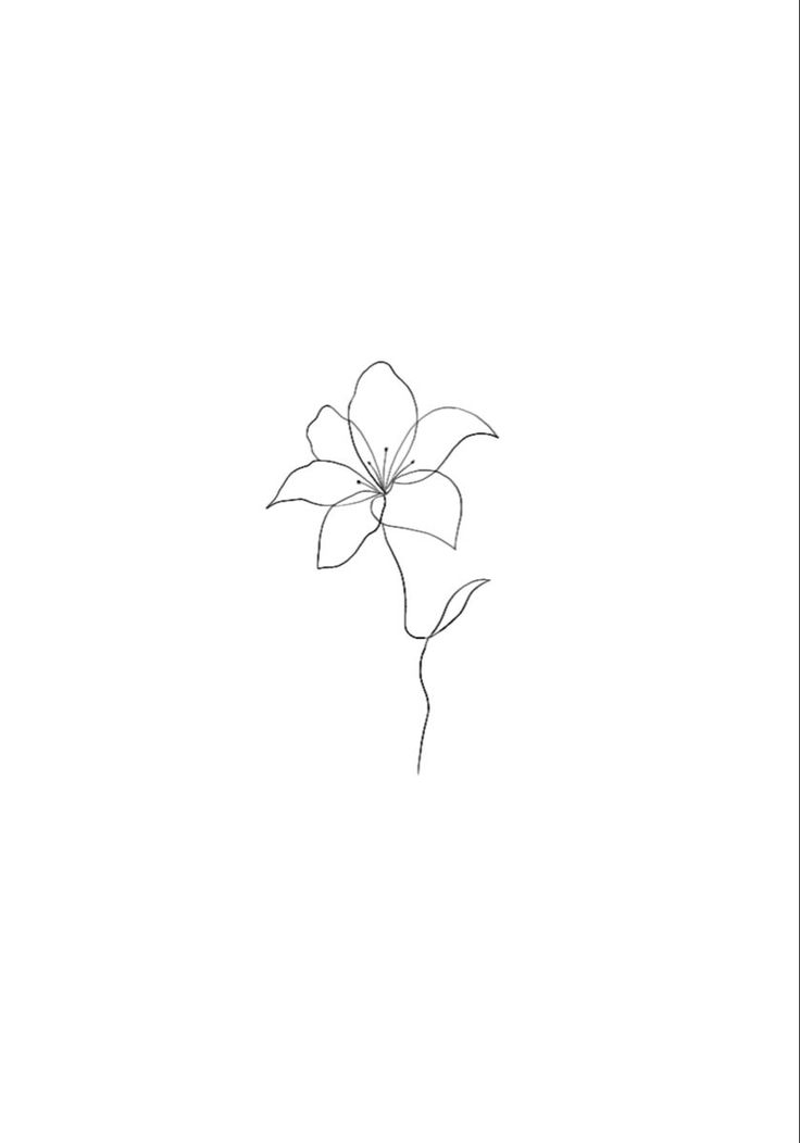 a drawing of a single flower on a white background