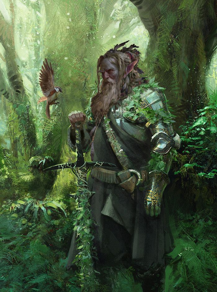 Bearded Firbolg in the woods with larger sword and light bird. Creature Fantasy, Heroic Fantasy, Dungeons And Dragons Characters, High Fantasy, Fantasy Warrior, Arte Fantasy, Fantasy Rpg, 판타지 아트, Fantasy Inspiration